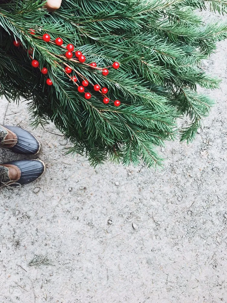 Affordable yard maintenance experts serving Tunkhannock, PA - Bennies Nursery