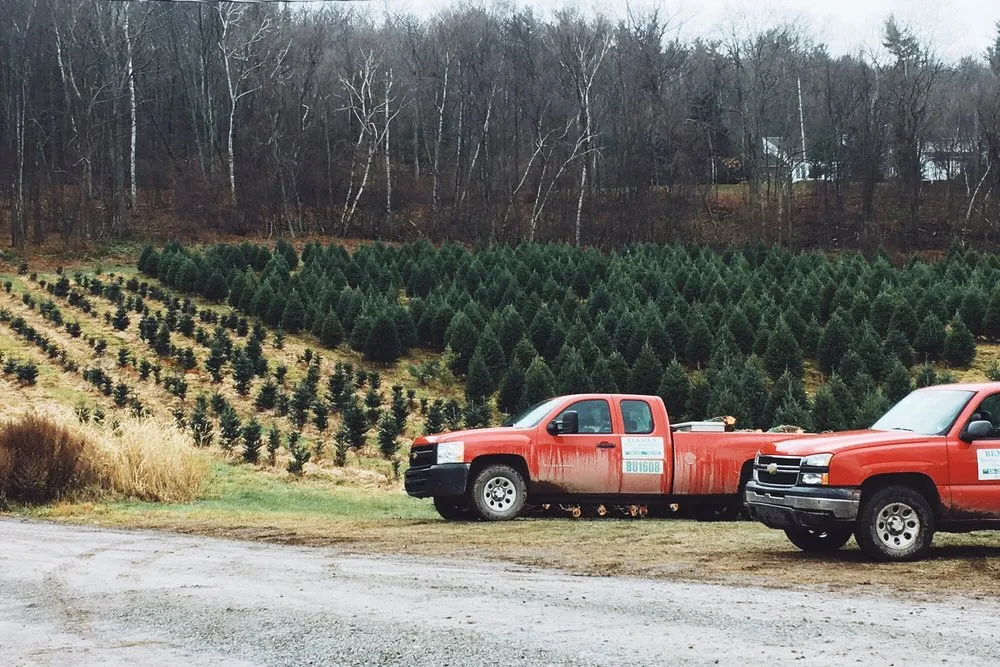Reliable outdoor landscaping experts serving Tunkhannock, PA - Bennies Nursery