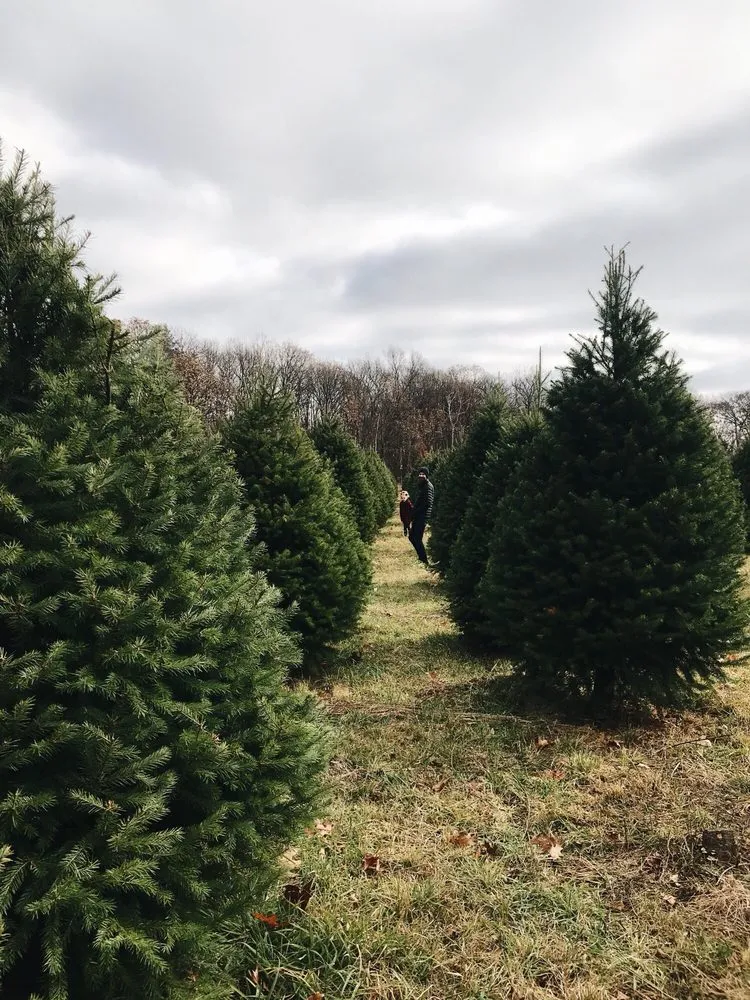 Custom landscape installation experts serving Tunkhannock, PA - Bennies Nursery
