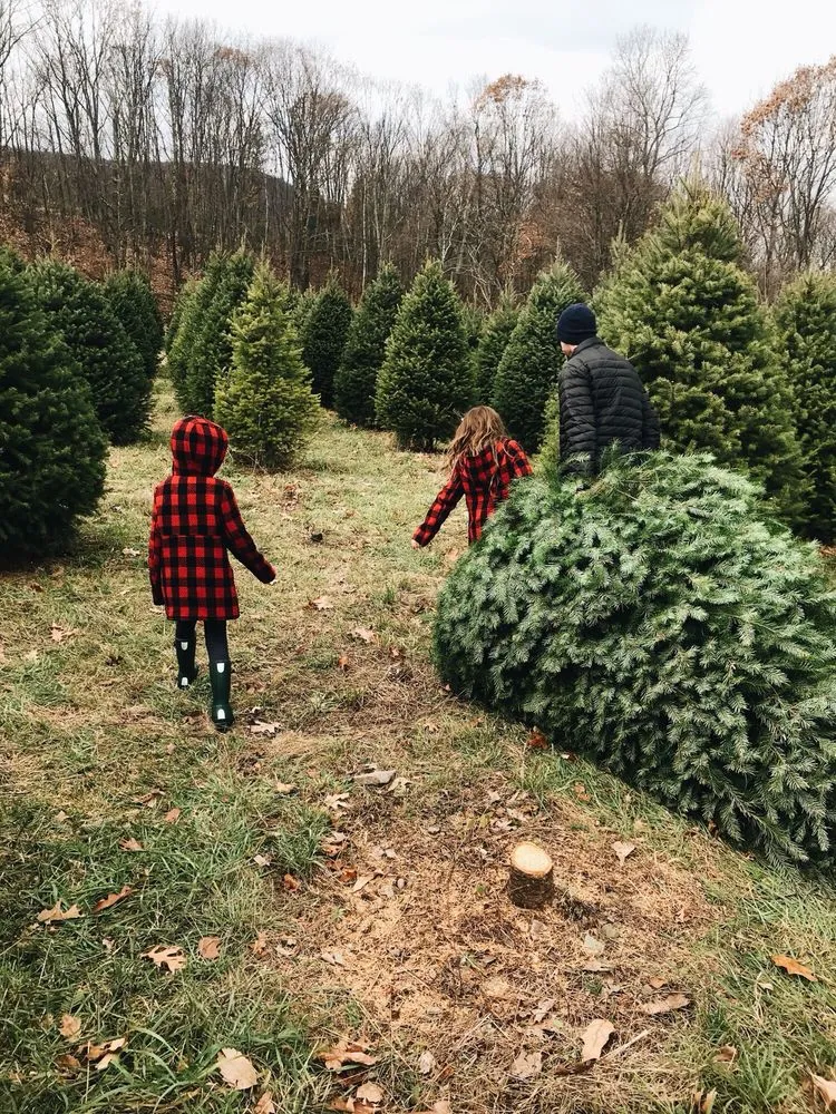 Expert lawn care service for homes across Tunkhannock, PA - Bennies Nursery