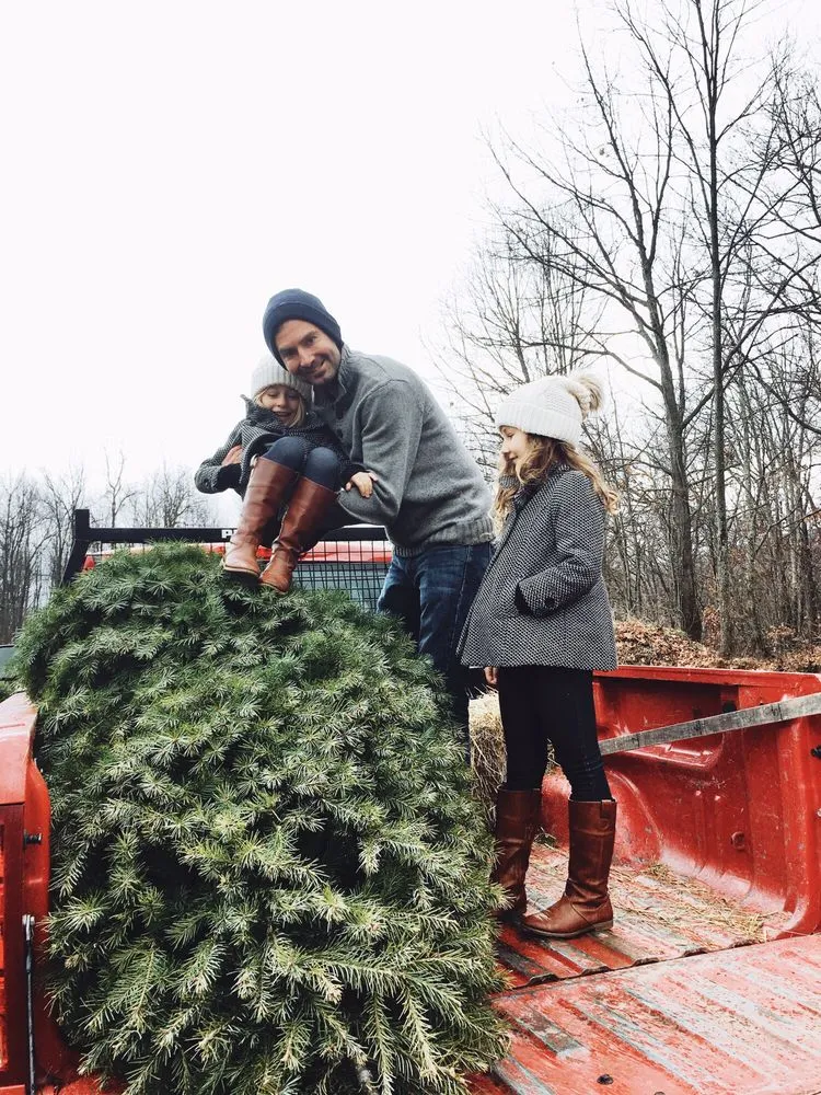 Affordable yard cleanup service experts serving Tunkhannock, PA - Bennies Nursery