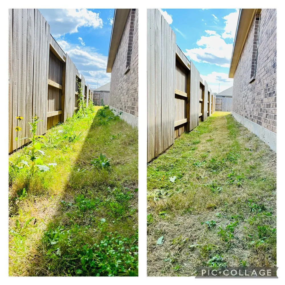 Trusted lawn care service for beautiful yards across Katy, TX - Benning Lawn Care