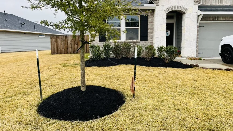 Reliable residential landscaping experts serving Katy, TX - Benning Lawn Care
