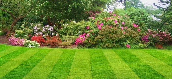 Custom lawn care service for residential properties in Bennington, VT by Bennington Green Thumb Lan