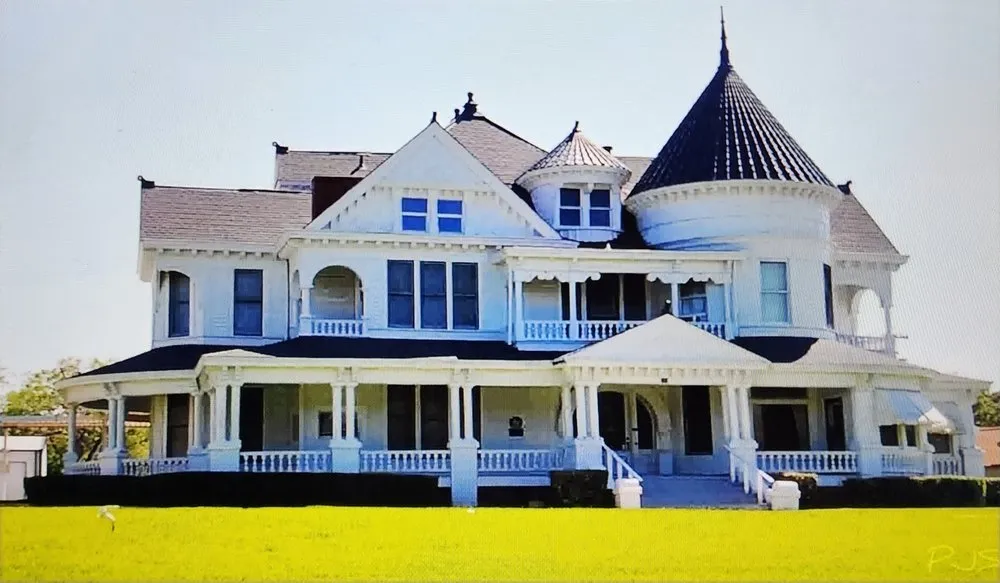 Professional yard cleanup service in Corpus Christi, TX by Benn's Executive Construction Solutions