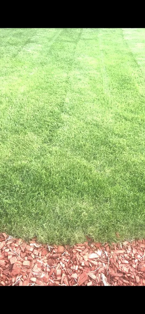 Professional garden landscaping experts serving Las Cruces, NM - Benny Precision Landscaping