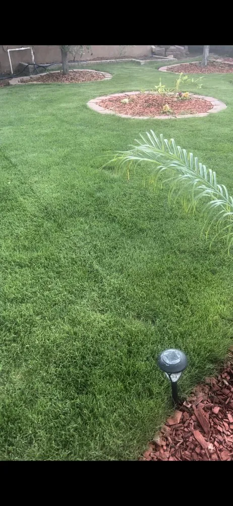 Expert lawn mowing service near you across Las Cruces, NM - Benny Precision Landscaping