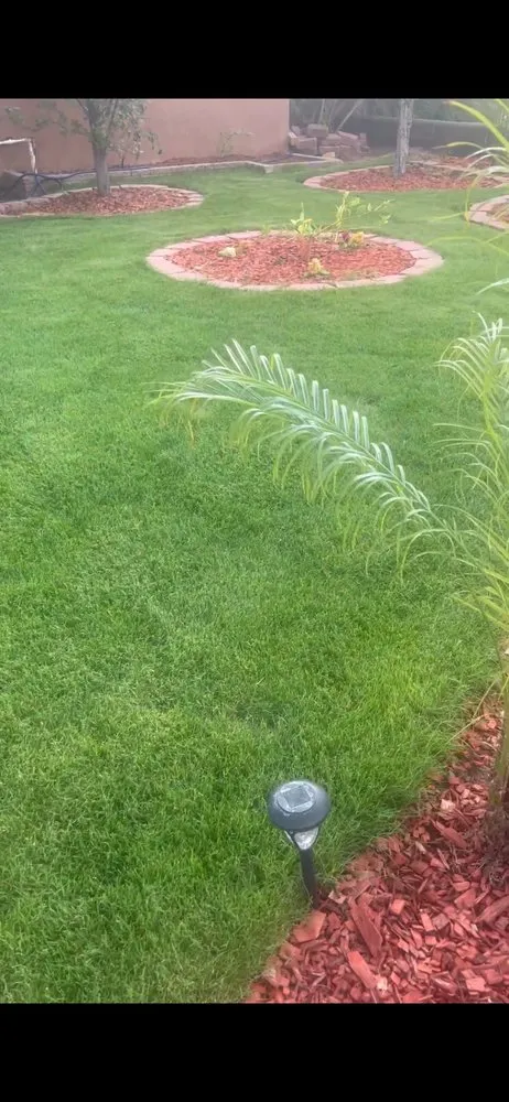 Affordable lawn mowing service in Las Cruces, NM - Benny Precision Landscaping