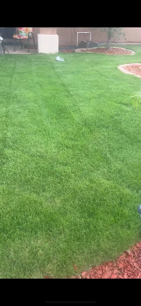 Local landscape design near you across Las Cruces, NM - Benny Precision Landscaping