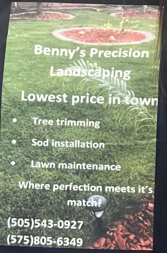 Custom residential landscaping experts serving Las Cruces, NM - Benny Precision Landscaping
