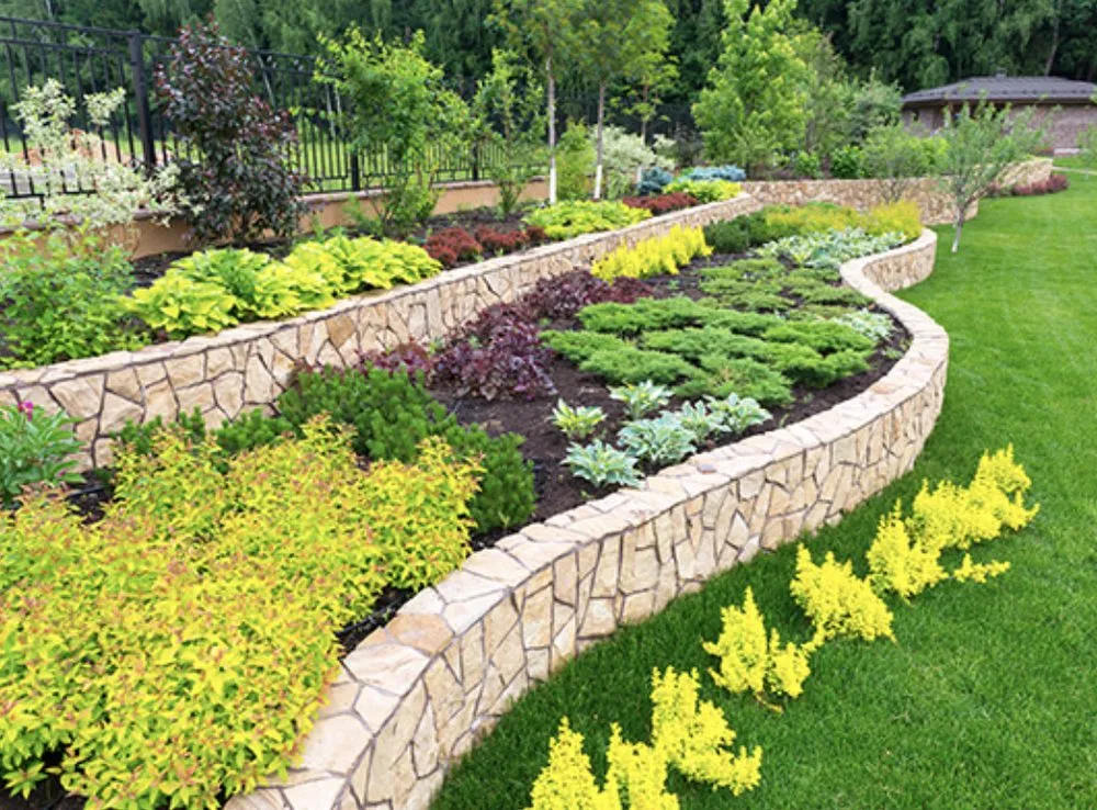 Professional landscape design in Orlando, FL - Bennys Bonsai And Beehives