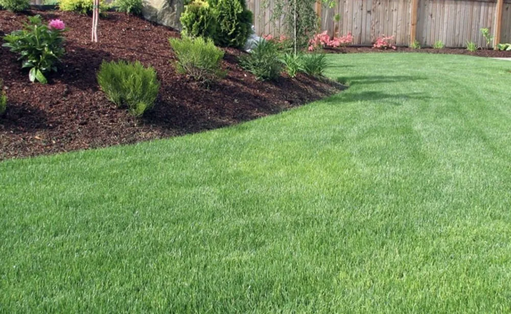 Top-rated landscape installation in Orlando, FL - Bennys Bonsai And Beehives