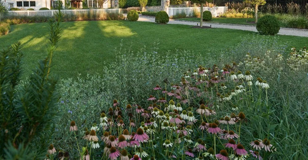 Professional lawn mowing service in Orlando, FL - Bennys Bonsai And Beehives