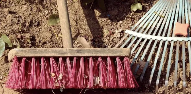 Expert garden landscaping in Orlando, FL by Bennys Bonsai And Beehives