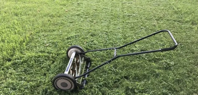 Local residential landscaping experts serving Orlando, FL - Bennys Bonsai And Beehives