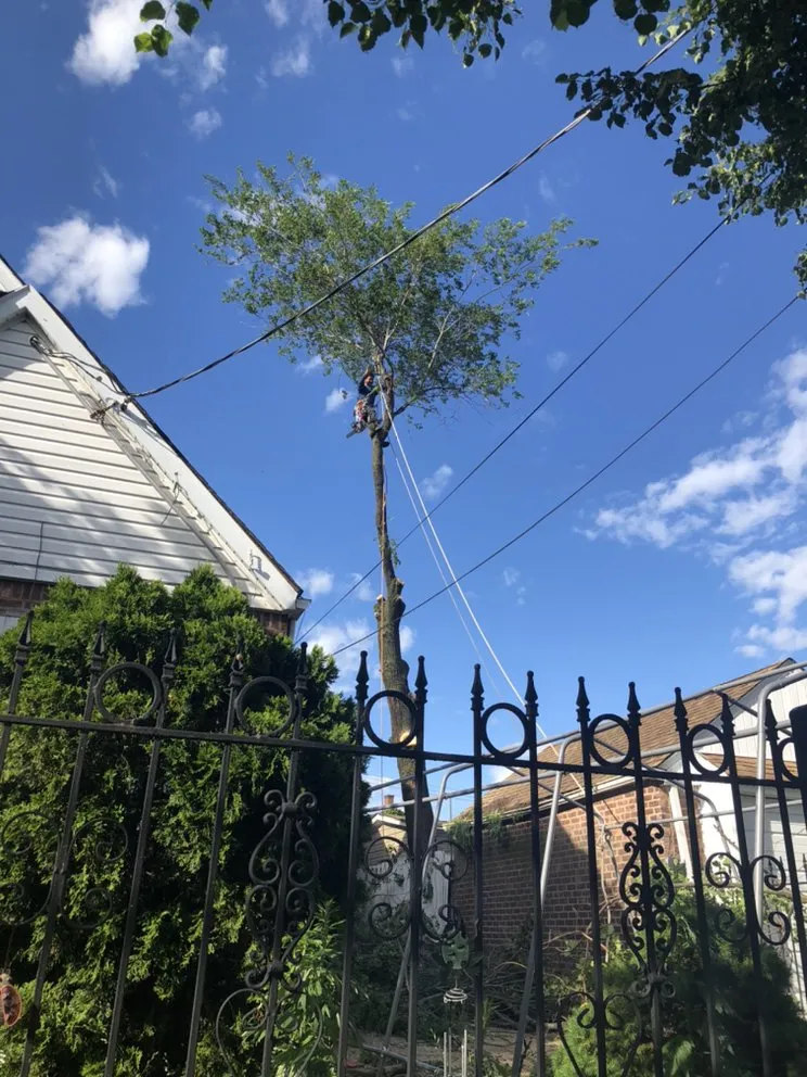 Expert residential landscaping for beautiful yards across Brooklyn, NY - Benny’s Landscaping & Tree Service