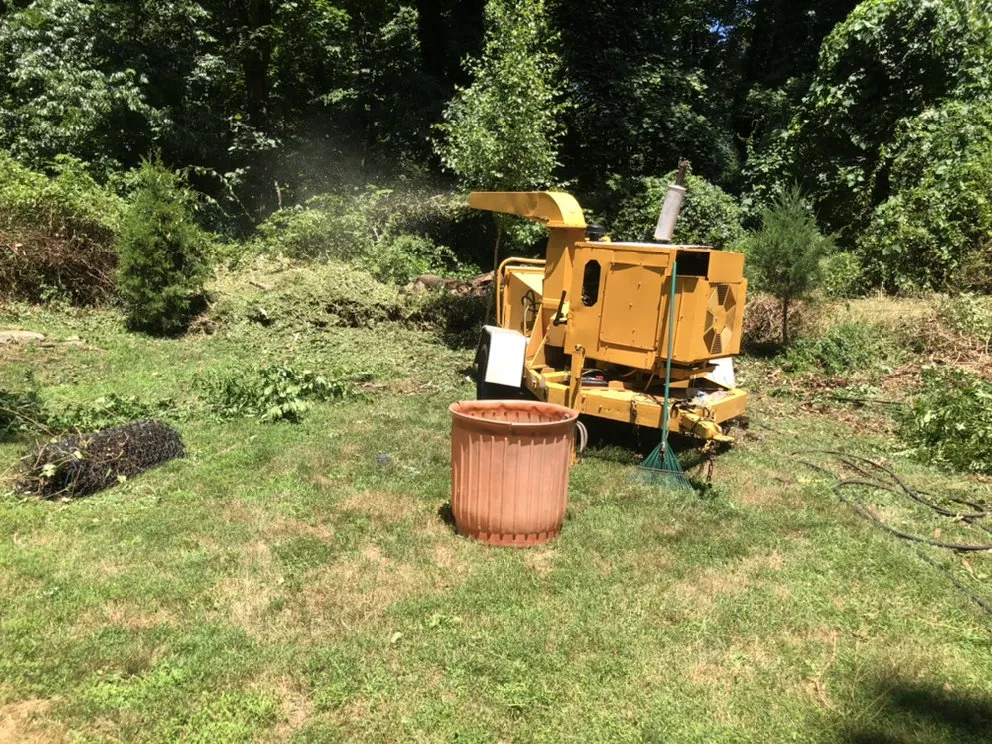 Trusted outdoor landscaping for homes across Brooklyn, NY - Benny’s Landscaping & Tree Service