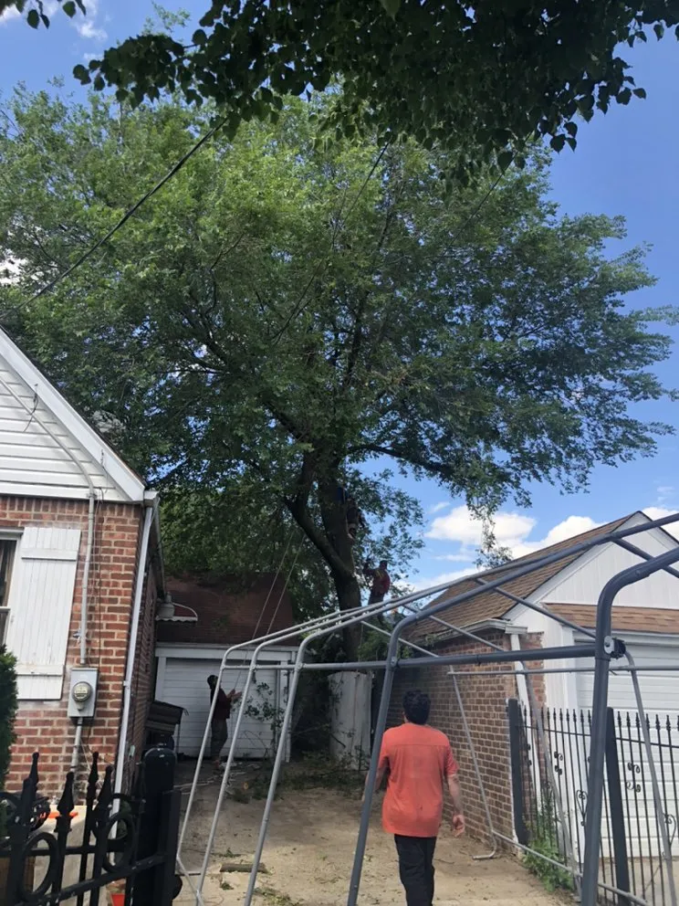 Affordable outdoor landscaping in Brooklyn, NY by Benny’s Landscaping & Tree Service