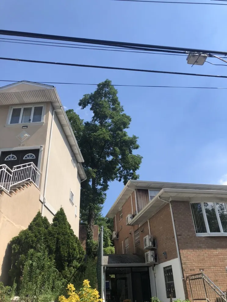 Local outdoor landscaping for year-round maintenance in Brooklyn, NY by Benny’s Landscaping & Tree Service