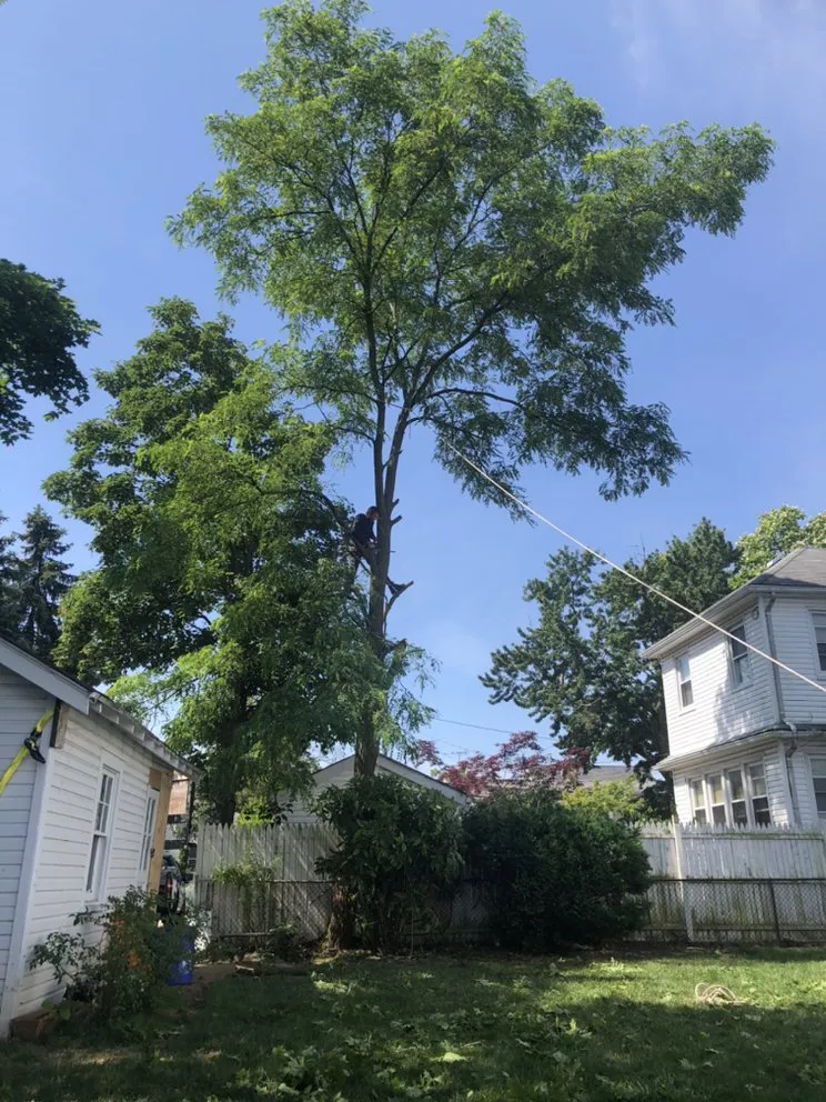 Reliable garden landscaping in Brooklyn, NY - Benny’s Landscaping & Tree Service