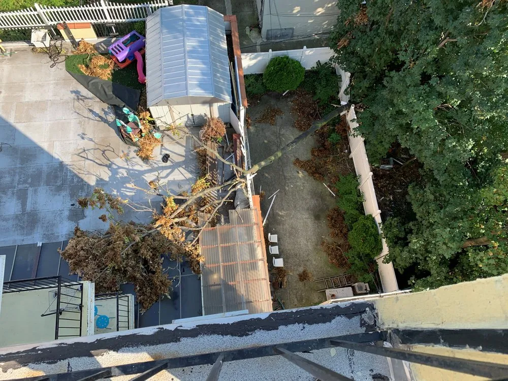 Trusted garden landscaping experts serving Brooklyn, NY - Benny’s Landscaping & Tree Service