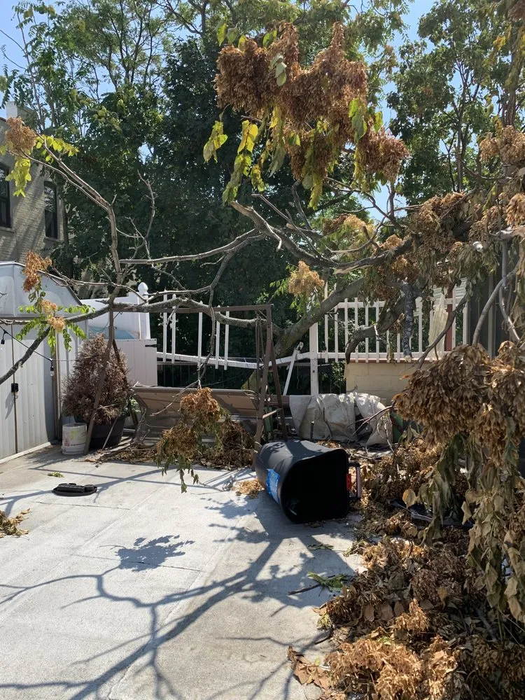 Professional outdoor landscaping in Brooklyn, NY - Benny’s Landscaping & Tree Service