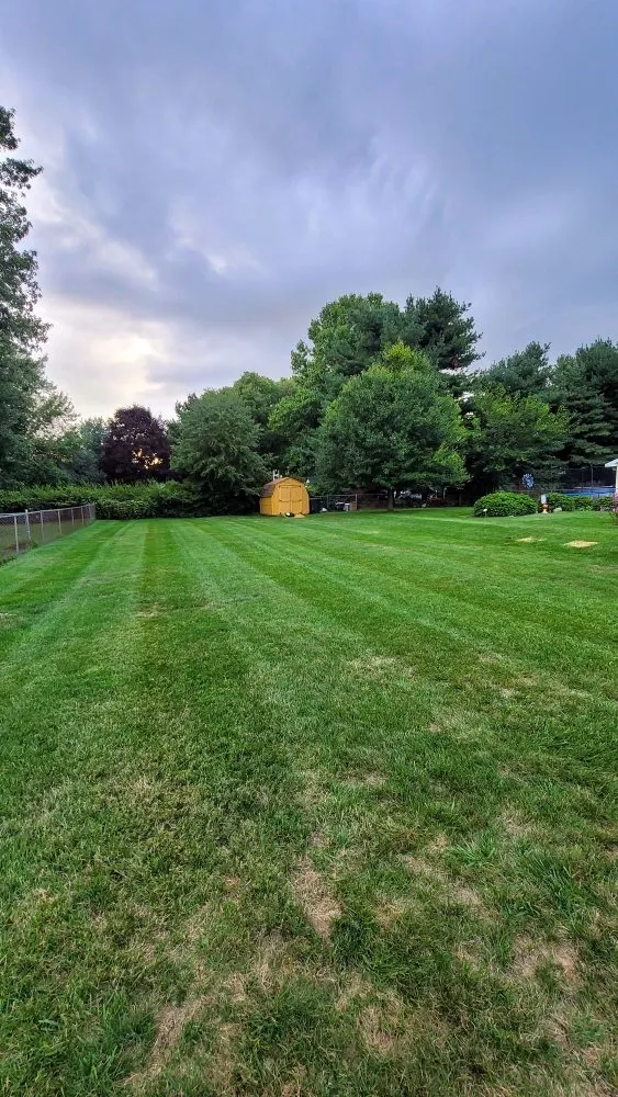 Local landscaping services for homes in Elkhart, IN by Benny's Lawn Care
