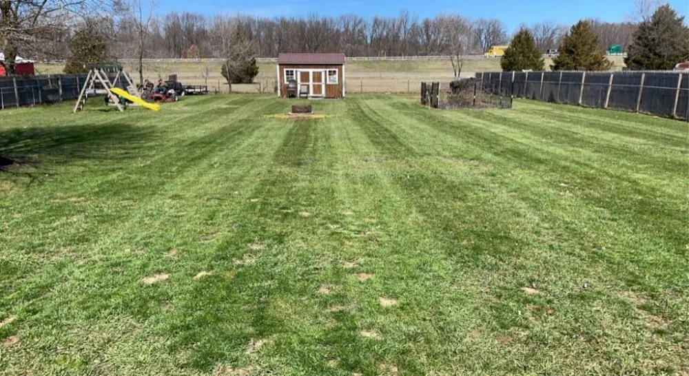 Professional yard cleanup service near you across Elkhart, IN - Benny's Lawn Care