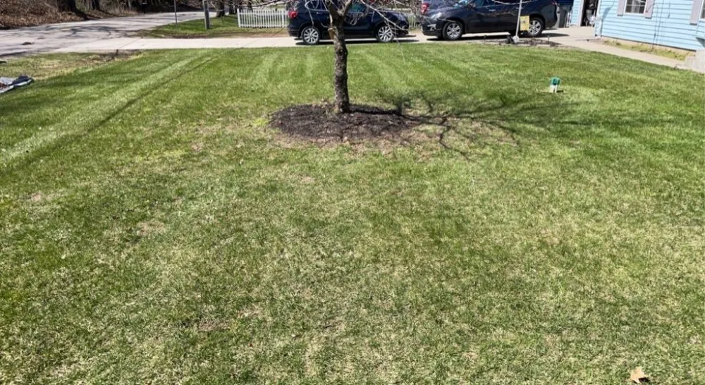 Top-rated landscape installation experts serving Elkhart, IN - Benny's Lawn Care