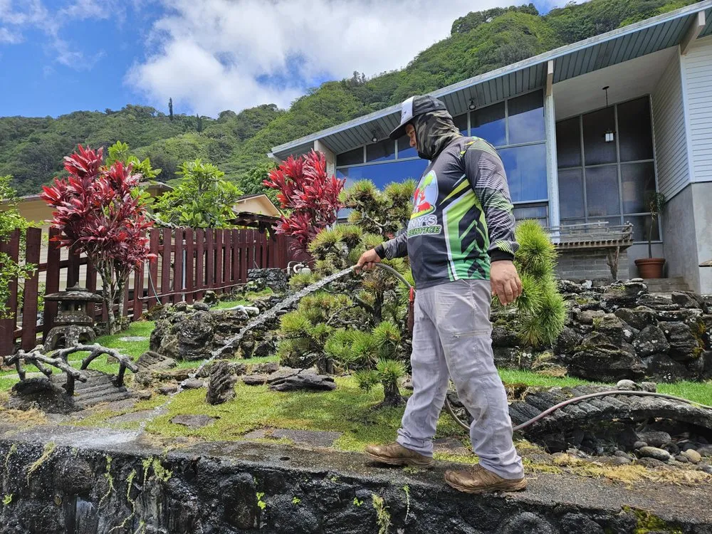 Expert residential landscaping in Honolulu, HI - Benny's Yard