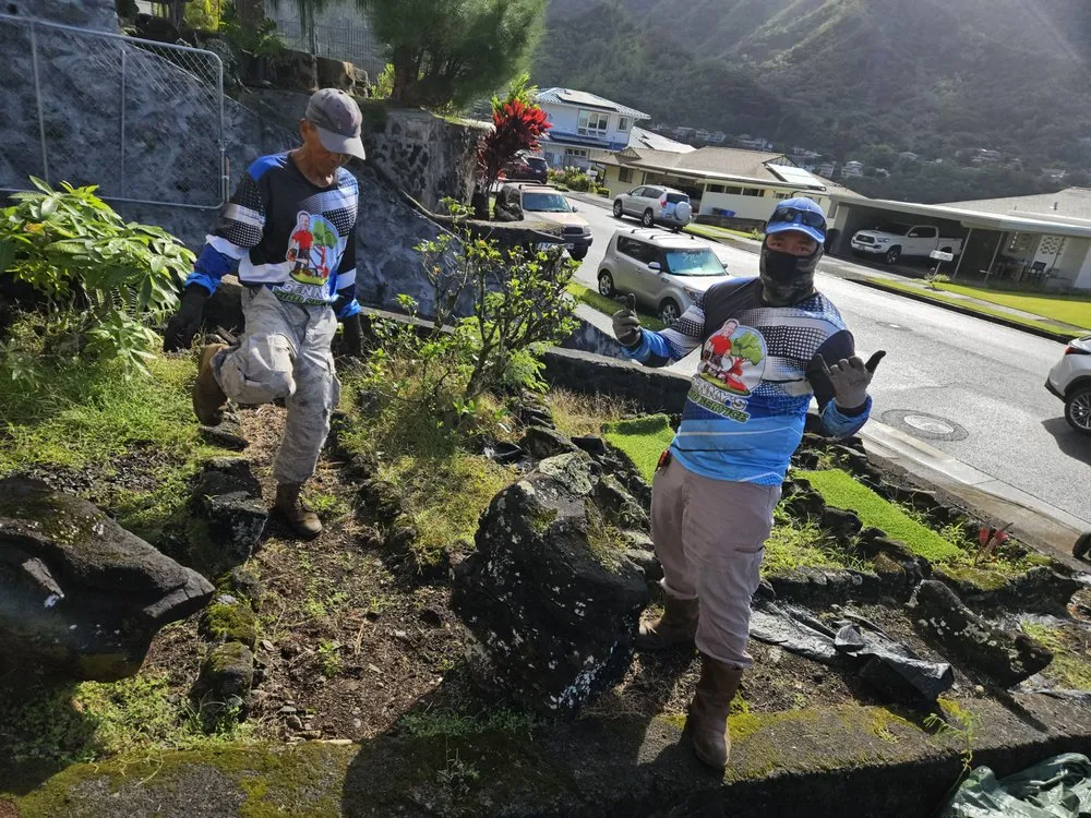 Professional yard maintenance in Honolulu, HI - Benny's Yard