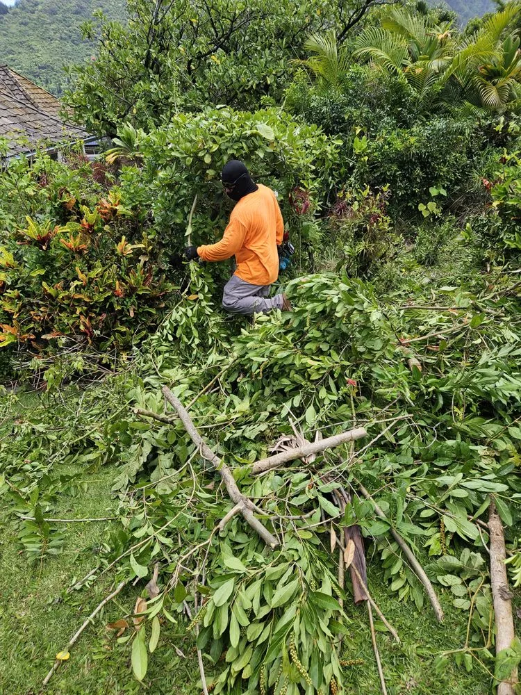 Custom outdoor landscaping for beautiful yards in Honolulu, HI by Benny's Yard
