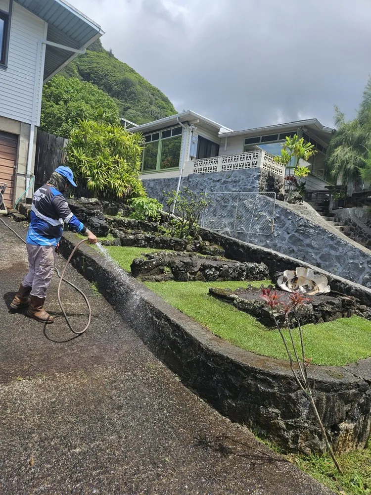 Professional yard cleanup service for beautiful yards across Honolulu, HI - Benny's Yard