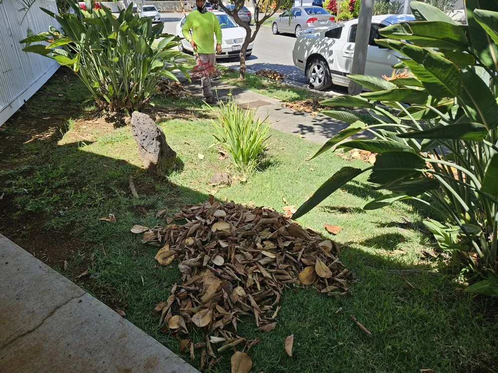 Reliable landscape installation for outdoor upgrades in Honolulu, HI by Benny's Yard