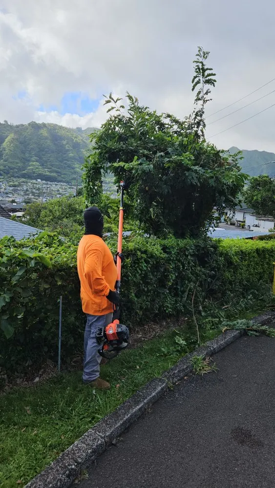 Trusted residential landscaping in Honolulu, HI - Benny's Yard