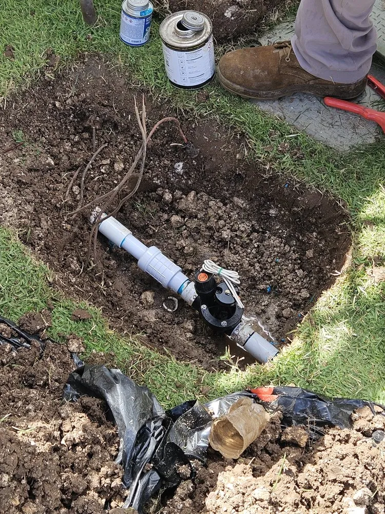 Trusted landscaping services for homes in Honolulu, HI by Benny's Yard