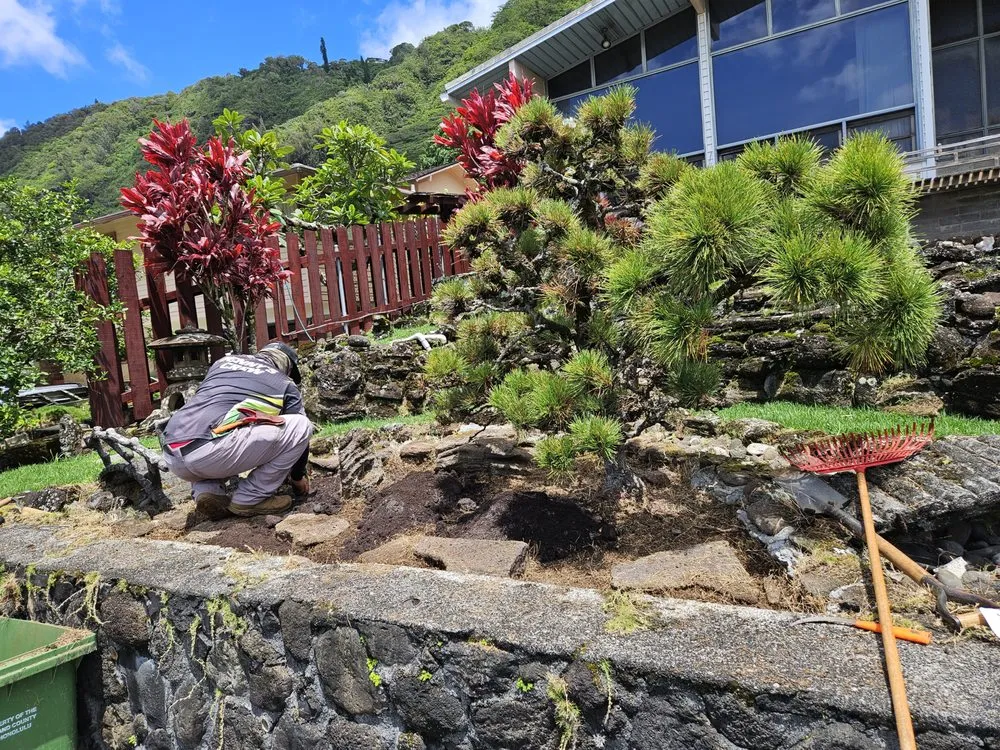 Expert landscaping services in Honolulu, HI by Benny's Yard