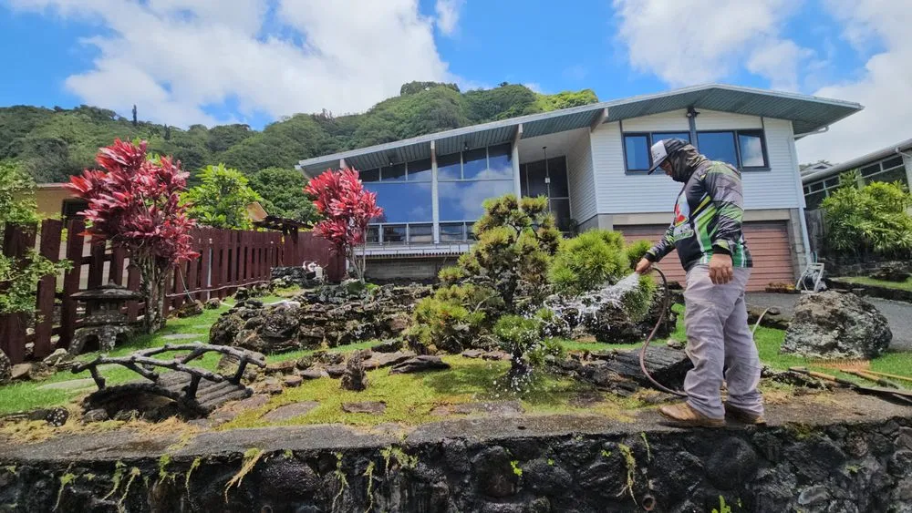 Reliable yard cleanup service near you across Honolulu, HI - Benny's Yard