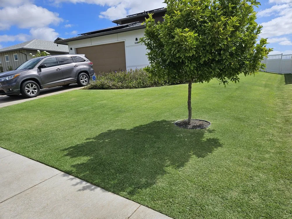 Custom residential landscaping in Honolulu, HI by Benny's Yard