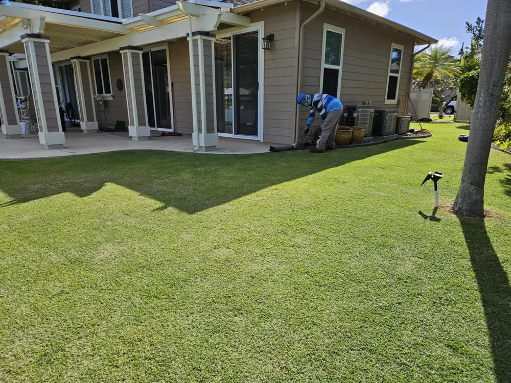 Expert yard cleanup service experts serving Urban Honolulu, HI - Benny's Yard Services