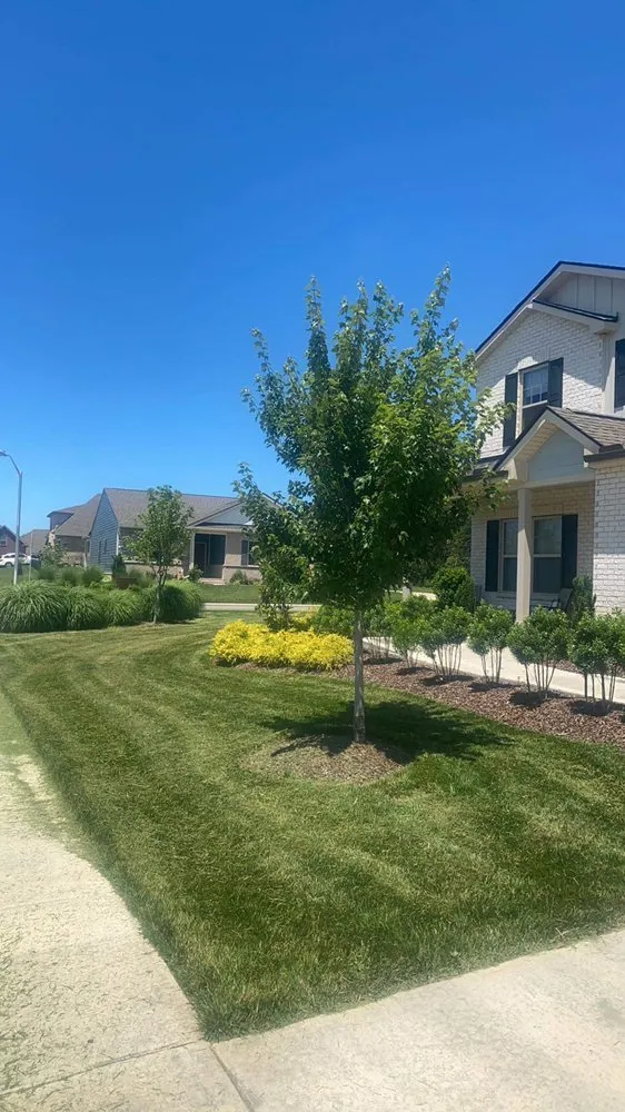 Trusted yard maintenance near you in Smyrna, TN by Benoits Lawncare