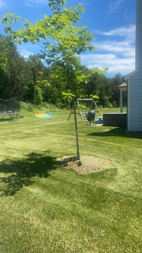 Local landscaping services in Smyrna, TN by Benoits Lawncare