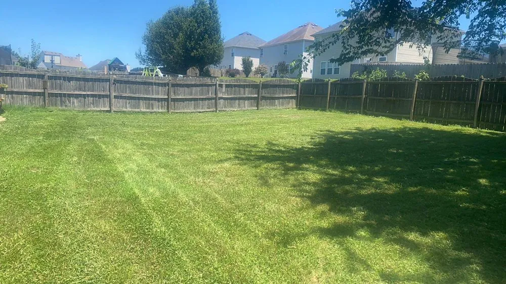 Top-rated yard cleanup service in Smyrna, TN by Benoits Lawncare