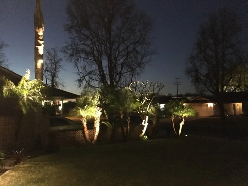 Professional landscape design in Santa Ana, CA by BENPRO