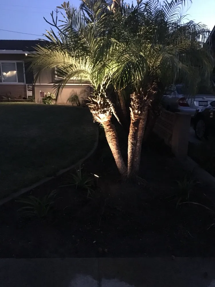 Top-rated outdoor landscaping with custom design in Santa Ana, CA by BENPRO