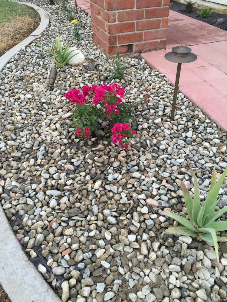 Trusted yard cleanup service experts serving Santa Ana, CA - BENPRO