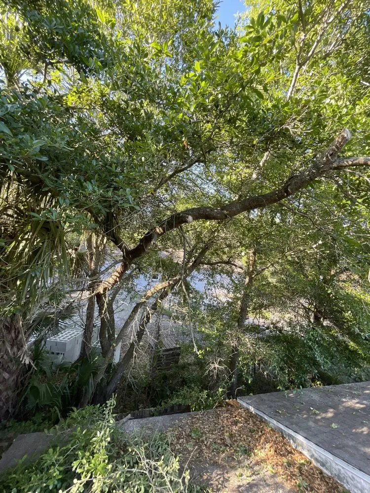 Local residential landscaping for residential properties in Sanford, FL by Bens 1 In A Million Handyman