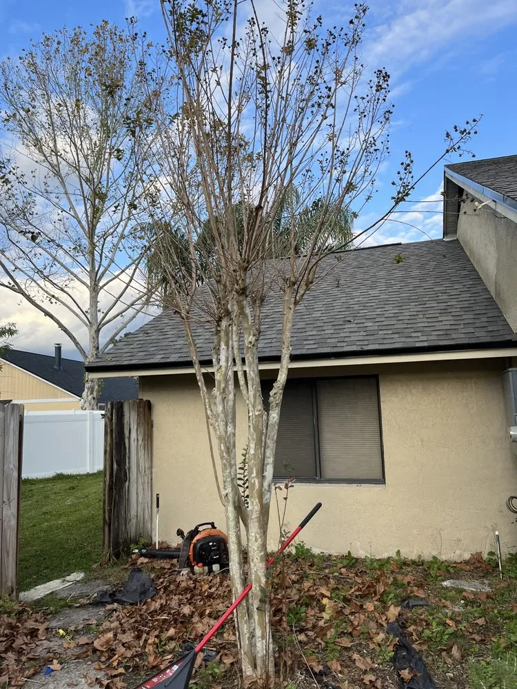 Professional residential landscaping for year-round maintenance in Sanford, FL by Bens 1 In A Million Handyman