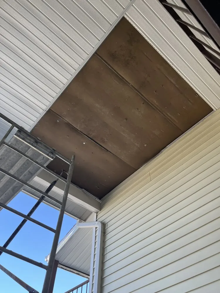 Top-rated residential landscaping experts serving Sanford, FL - Bens 1 In A Million Handyman