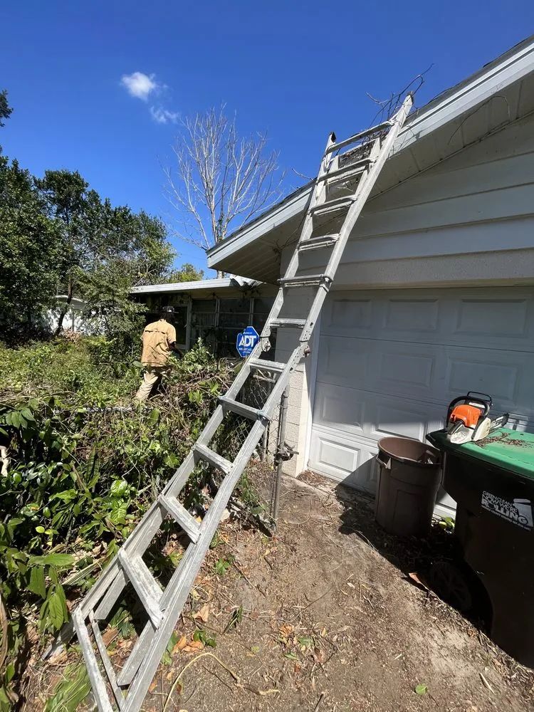 Custom lawn mowing service in Sanford, FL - Bens 1 In A Million Handyman
